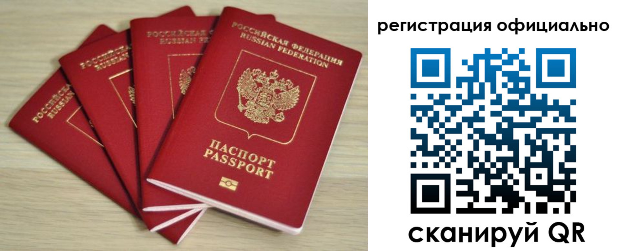 временная прописка в Королёве